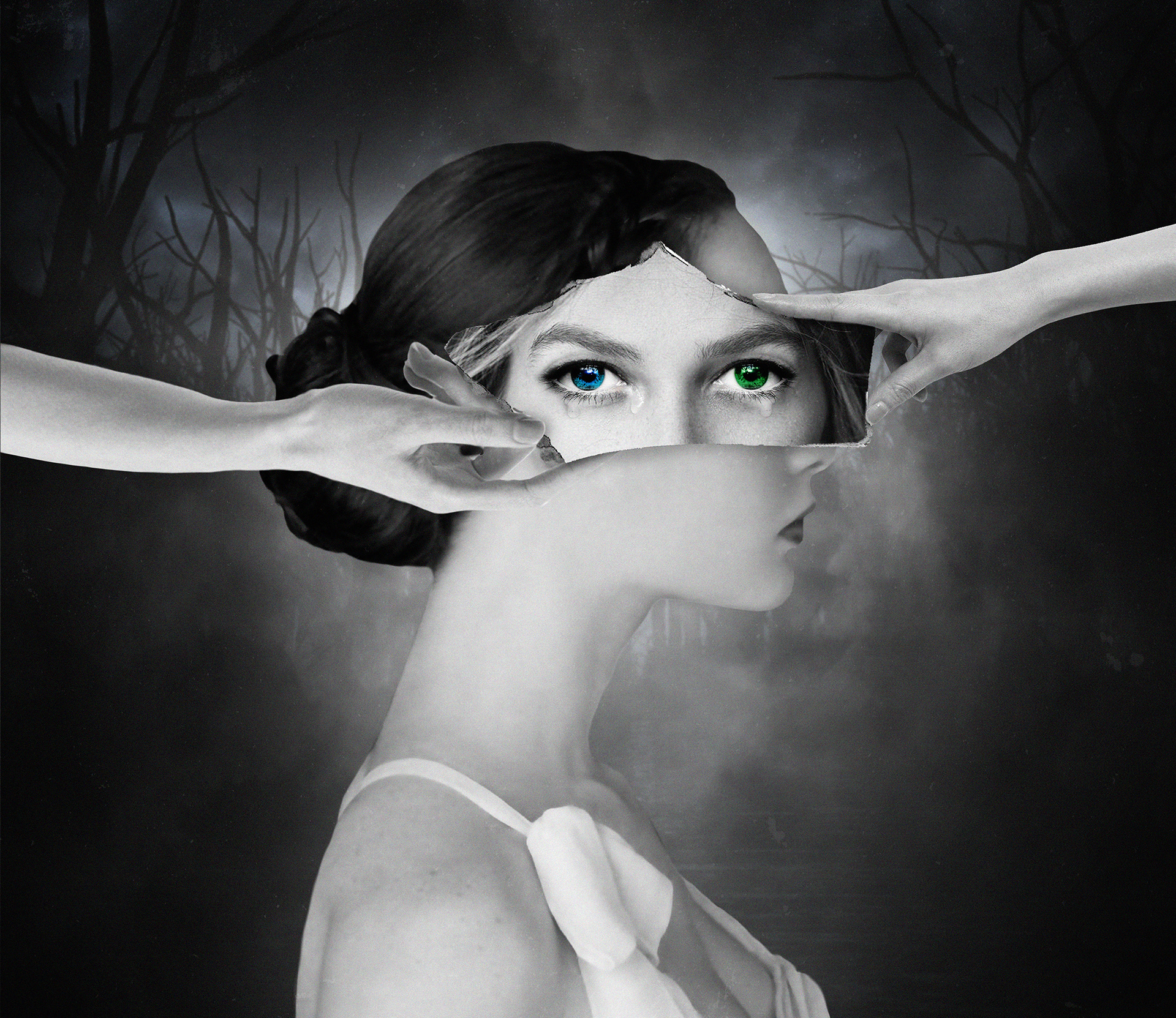 Beyond the Veil Art